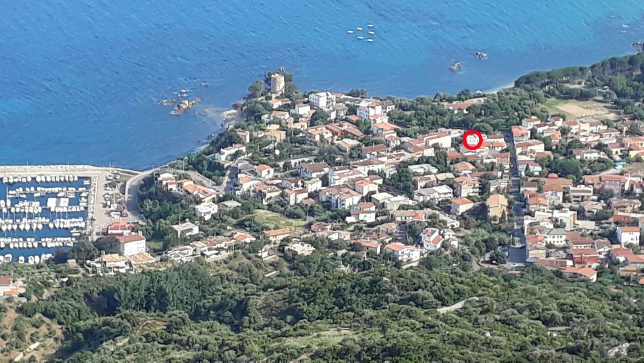 Casa Selvaggio Blu Daire Santa Maria Navarrese Dış mekan fotoğraf